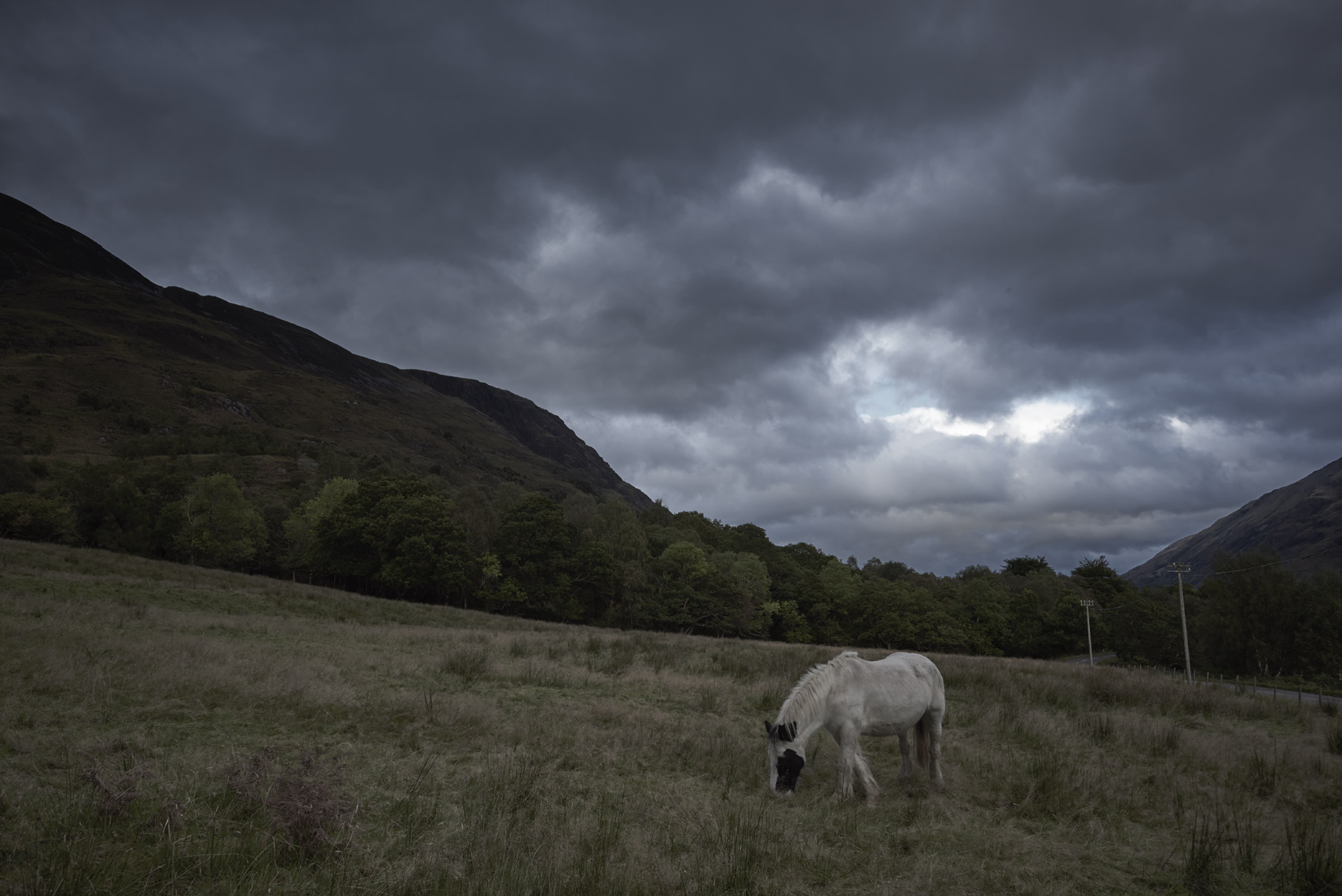 LochLevenHorse