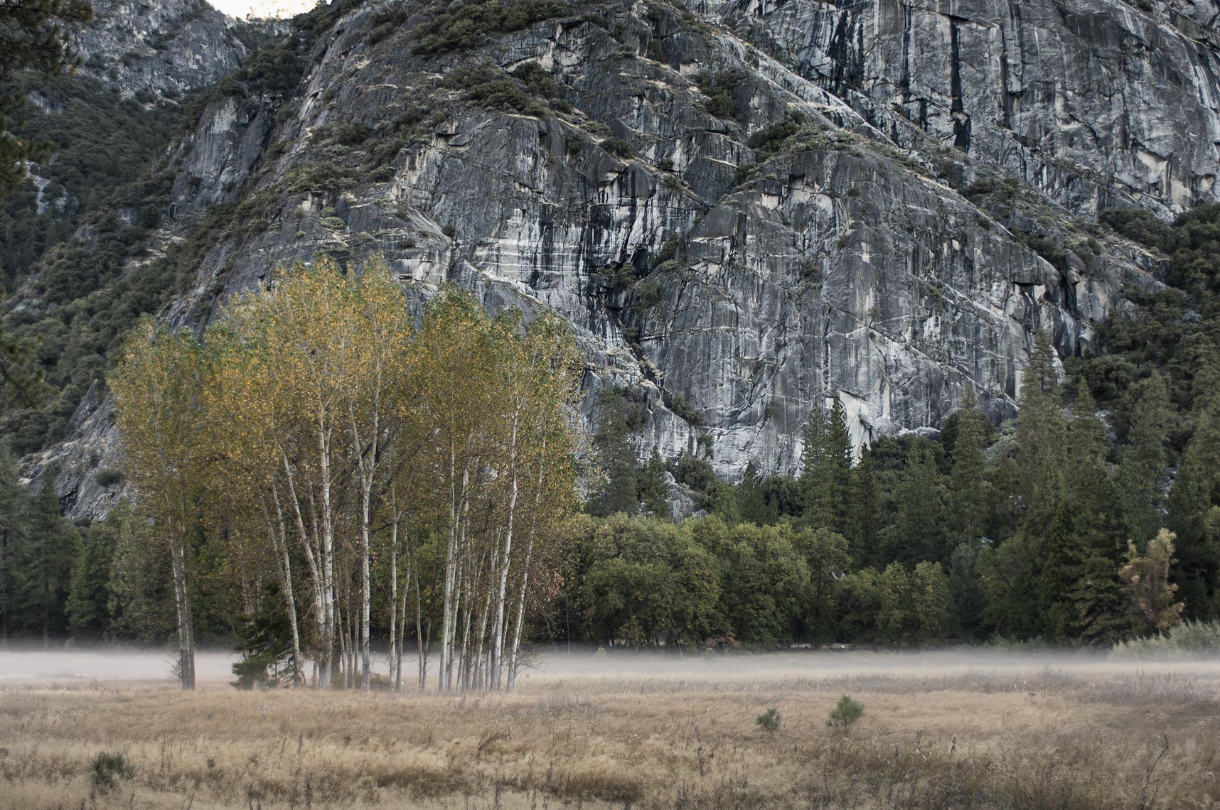 YosemiteAspen